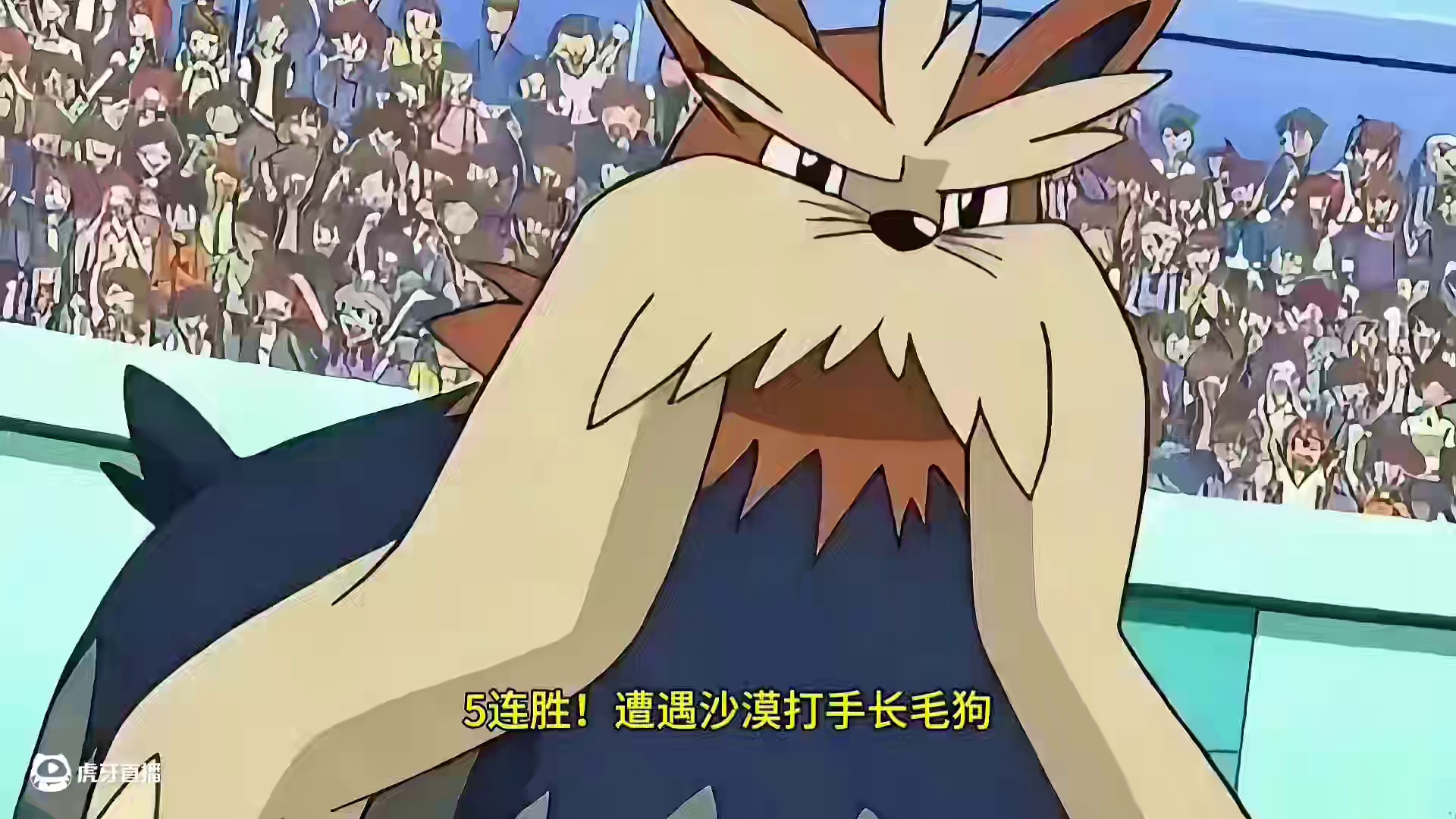 5连胜，遭遇沙暴打手长毛狗
#pokemmo #宝可梦对战 #宝可梦手游 #沙暴队 #pokemmo