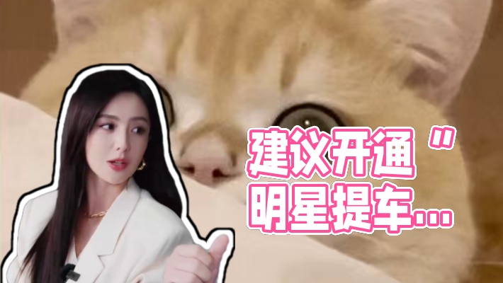 建议开通“明星提车排期表”啊！！#佟丽娅成为极氪车主 #半个娱乐圈都在用极氪009 #极氪009