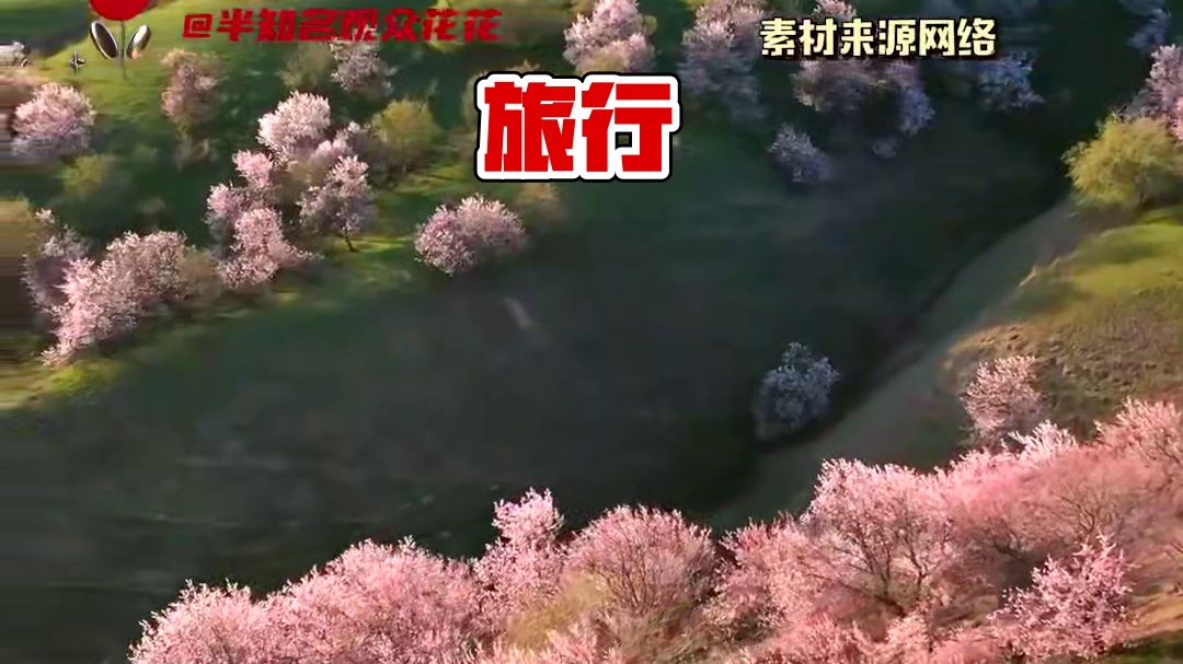 #叫上老朋友一起游新疆 这个春天总要和朋友去一次新疆吧#新疆 #旅行