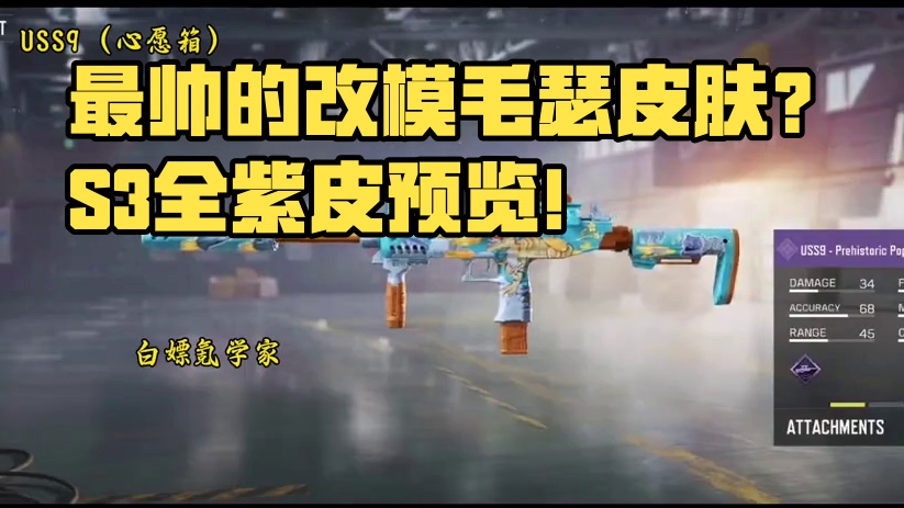 最帅的改模毛瑟皮肤？S3全紫皮预览！#使命召唤手游
