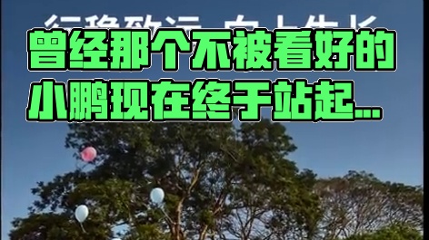 曾经那个不被看好的小鹏现在终于站起来了！ #小鹏发布史上最强财报 #小鹏汽车第四季度营收161.1亿