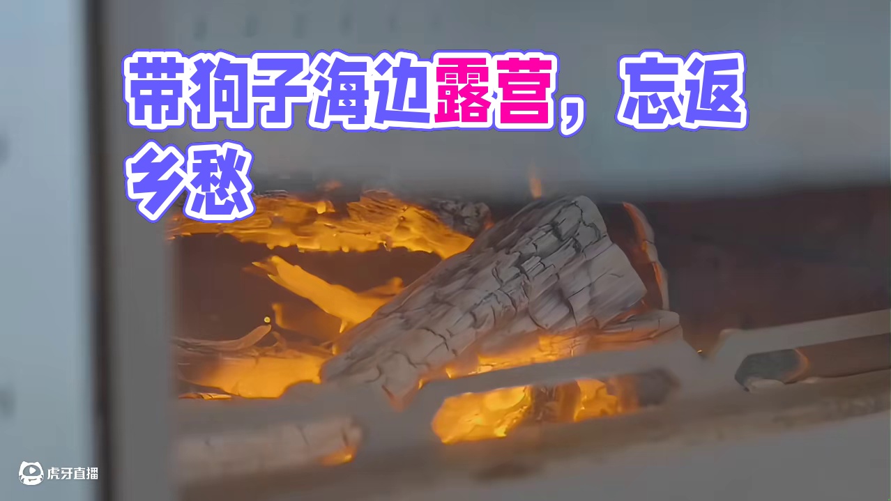 萌宠露营（一）带上狗子去海边露营，一个周末根本不够，好想在这里定居。。。#露营 #助眠 #解压 #萌