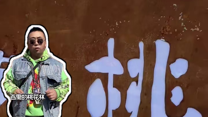 藏在武汉周边孝感杨店镇的美丽的桃花驿#卓尔小镇桃花驿#找个小城去踏青#武汉旅游攻略 #武汉周边游 #