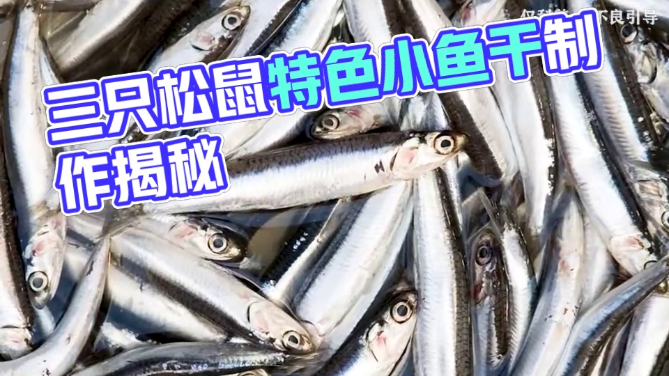 这种小东西可不简单！#三只松鼠 #小鱼仔 #好吃到停不下来 #超便宜超划算 #零食推荐