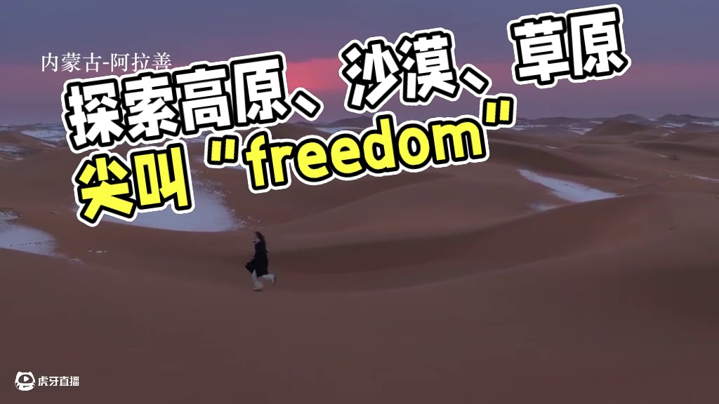 擅长在各种，高原、沙漠、草原、冰川、雪地里奔跑，旋转，跳跃，并大喊“freedom ”！
#想去的地