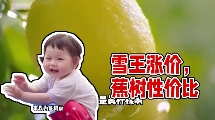 还好 奶茶界有雪王这样的平民国货
内衣界也有蕉树这样的性价比大牌蕉树 #蕉树  #好物分享  #良心