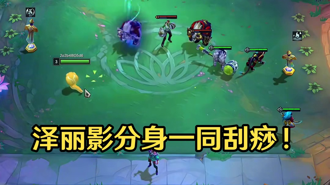 泽丽：我才是影流之主！