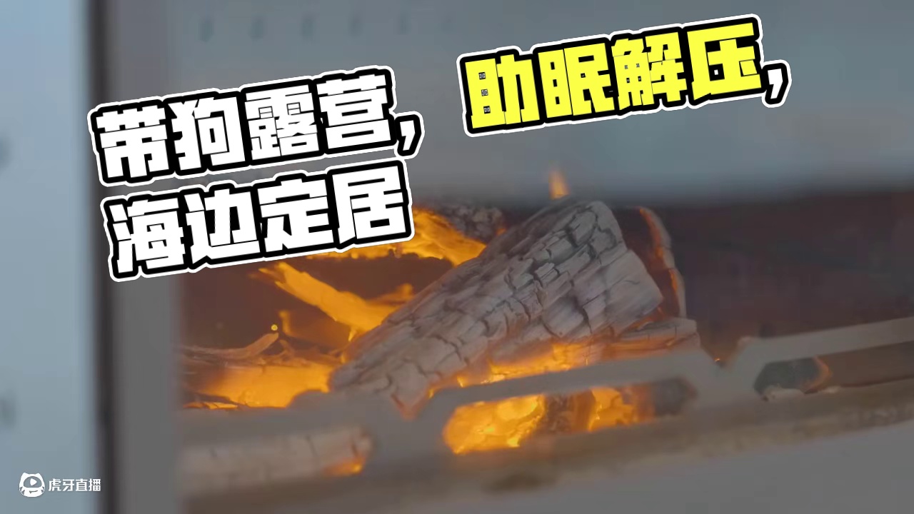 萌宠露营（全集）带上狗子去海边露营，一个周末根本不够，好想在这里定居。。。#露营 #助眠 #解压 #