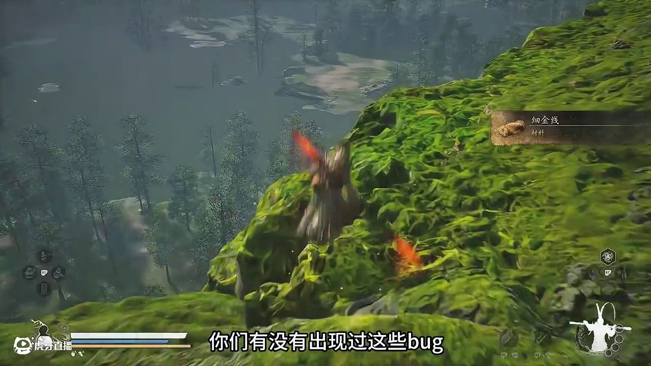 黑神话悟空 这些bug你们遇到过吗？还是我的电脑问题？ #steam游戏 #关于黑神话我有自己的玩法