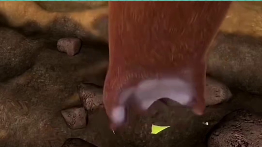 甘蔗是躺着种的 #种甘蔗 #冷知识#熊出没#万万没想到