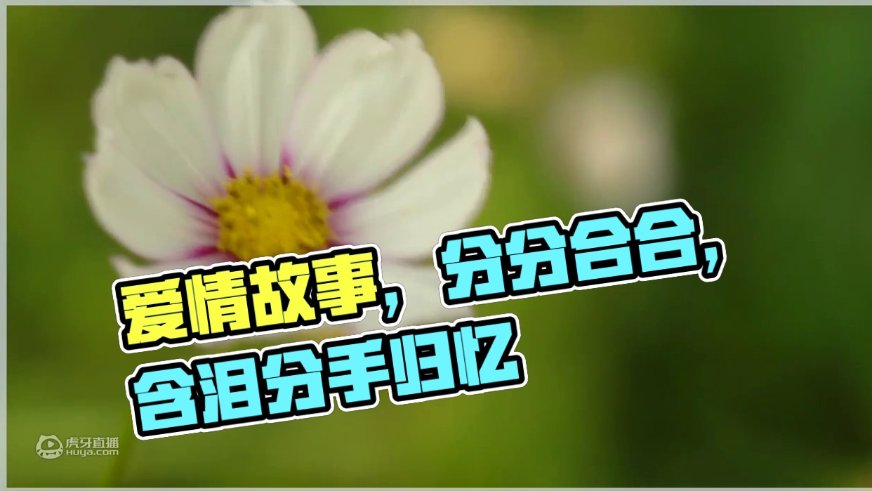 感情，从来不是一个人的维系，而是两个人的珍惜