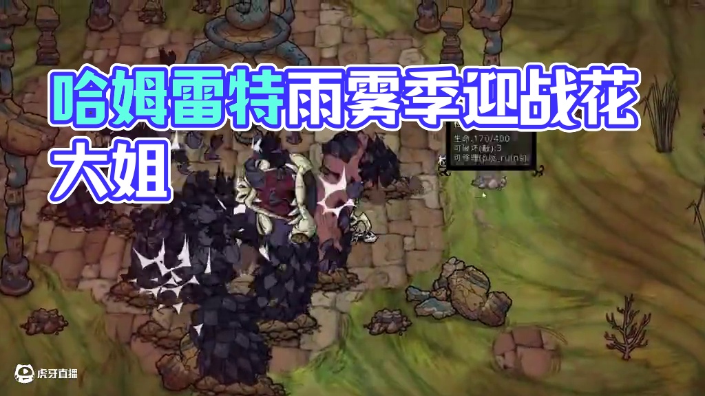 饥荒单机哈姆雷特：雨雾季来袭在茂密地皮被花大姐追 #饥荒 #饥荒哈姆雷特