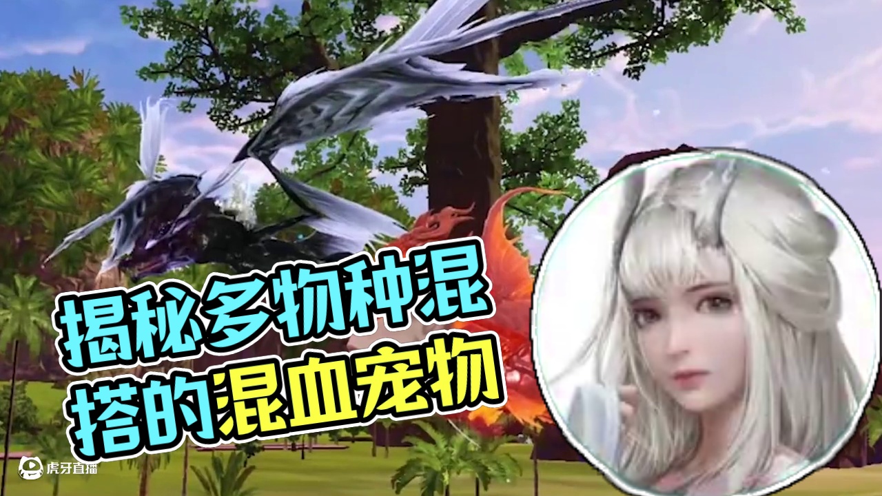 AI都不敢生成的宠物形态！ 第5只到底混了多少物种？【大荒有看头 第14期】#妄想山海 #山海经 #