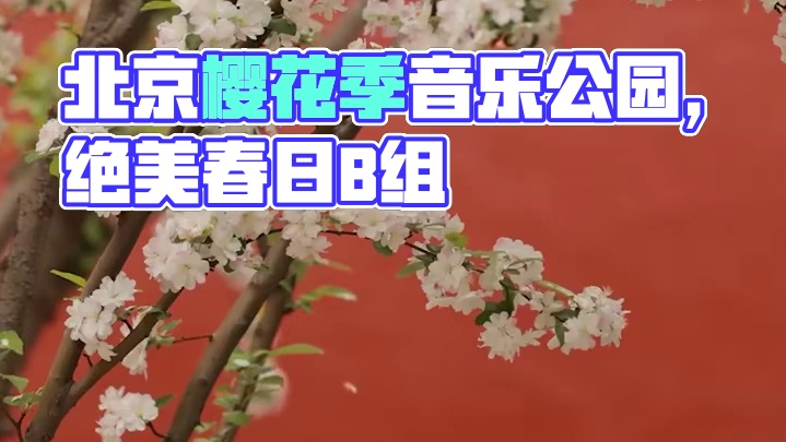 #被北京的春天美到了  这样的北京谁能忍住不心动呢 #北京 #旅行