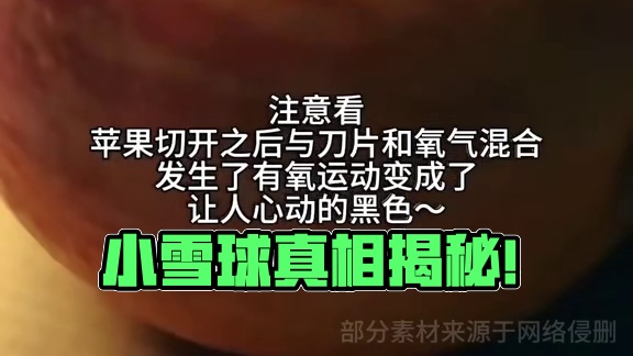 注意看！小雪球来袭~#元梦之星 #元梦之星真相之夜赛季 #元梦最佳双人图挑战 #星搭子是游戏最高 #