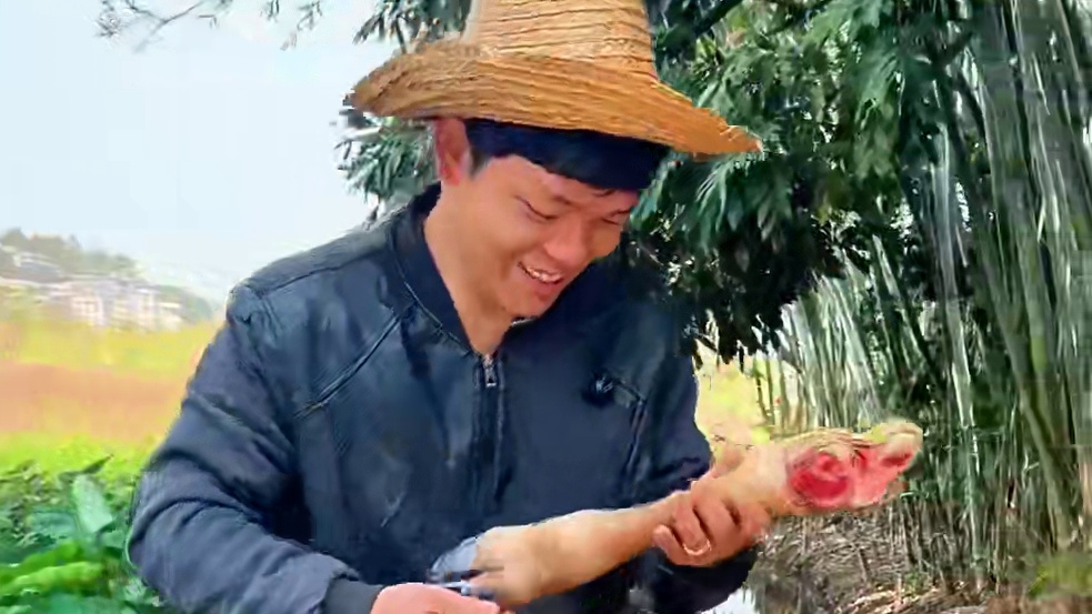 山村厨神小当家 从天而降的牛蹄 每一口都吃出家乡的味道 #农村生活 #农村美食 #乡村味道 #舌尖上