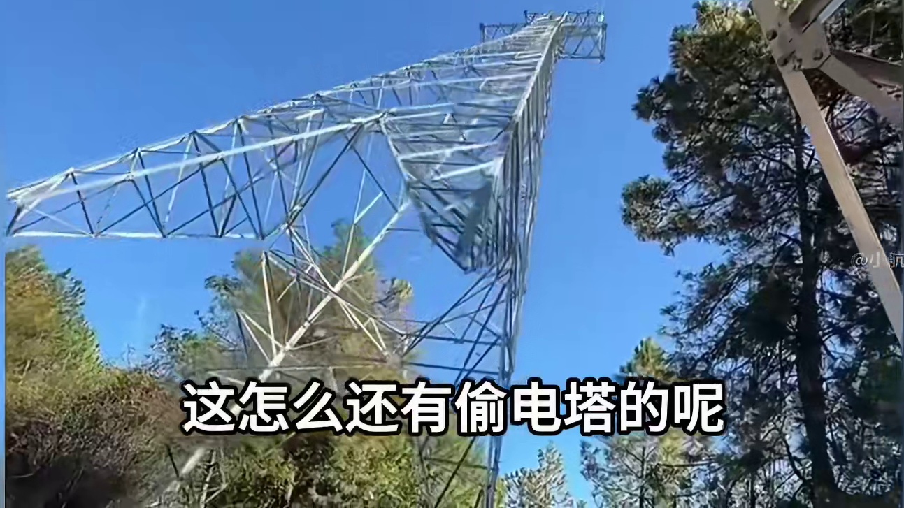 这怎么还有偷电塔的呢，多么小众的词汇！#高压电塔 #万万没想到 #奇葩操作
