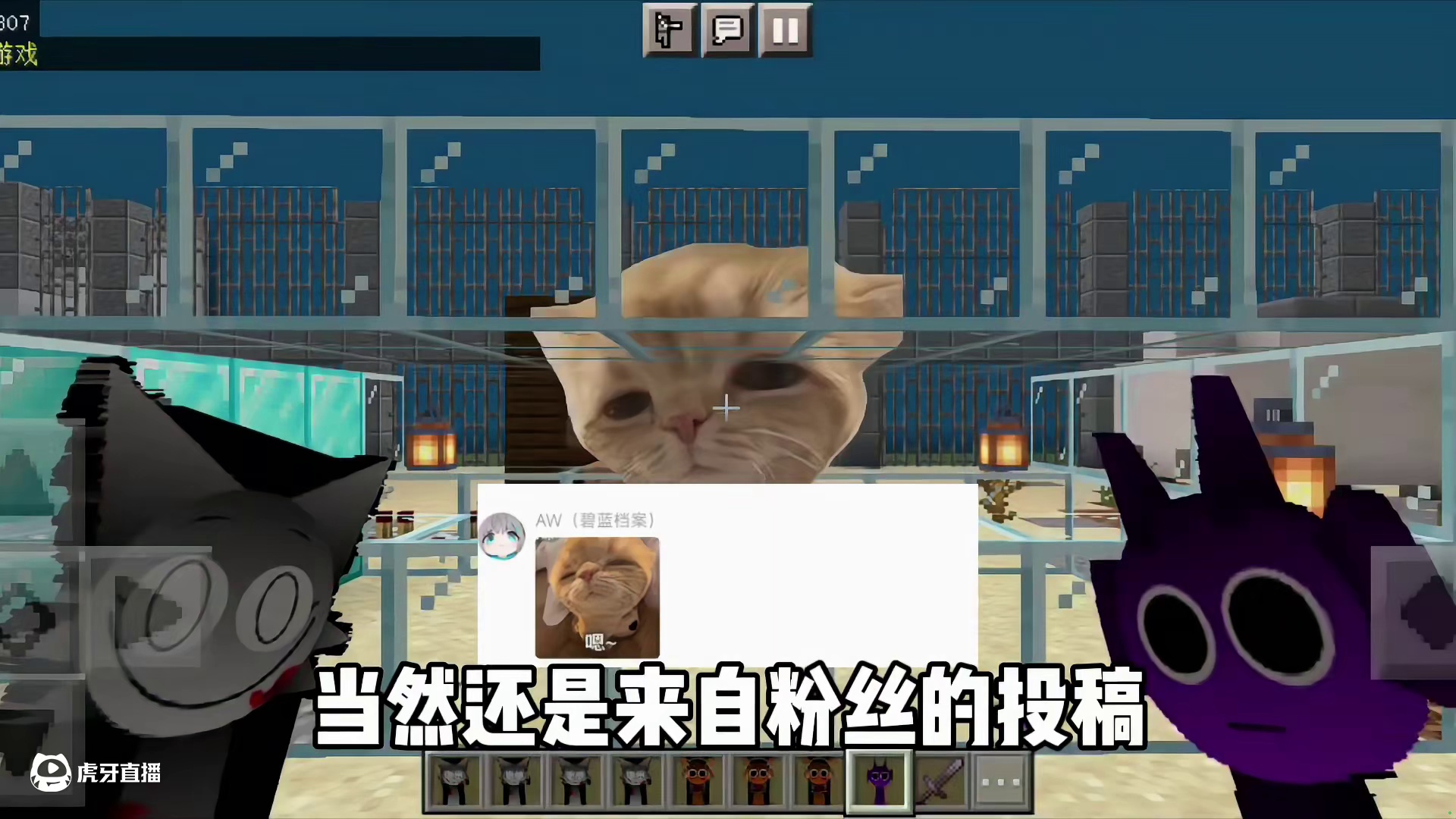 我们今天逃离的紫啧猫