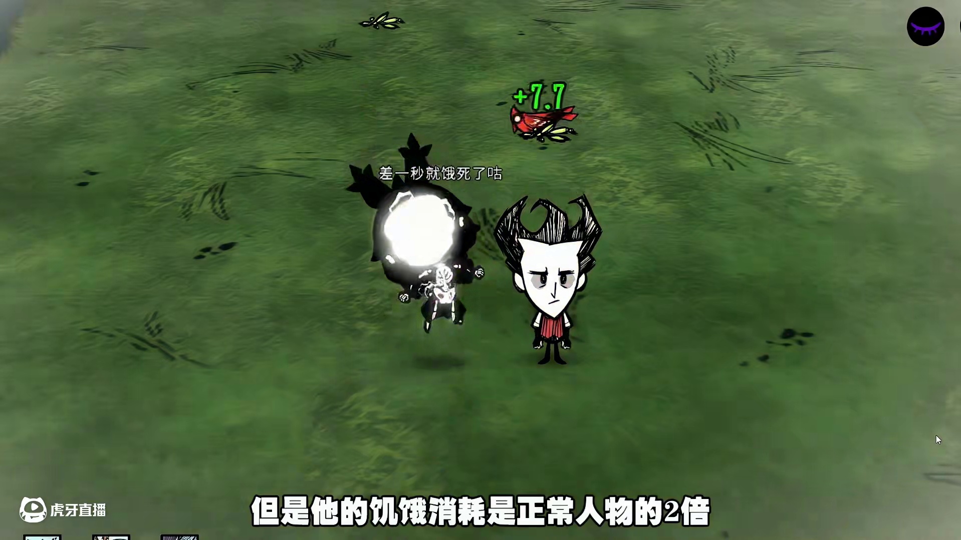 饥荒联机版模组：可以骑兔子还可以养兔子 #饥荒 模组：兔尾艾冰