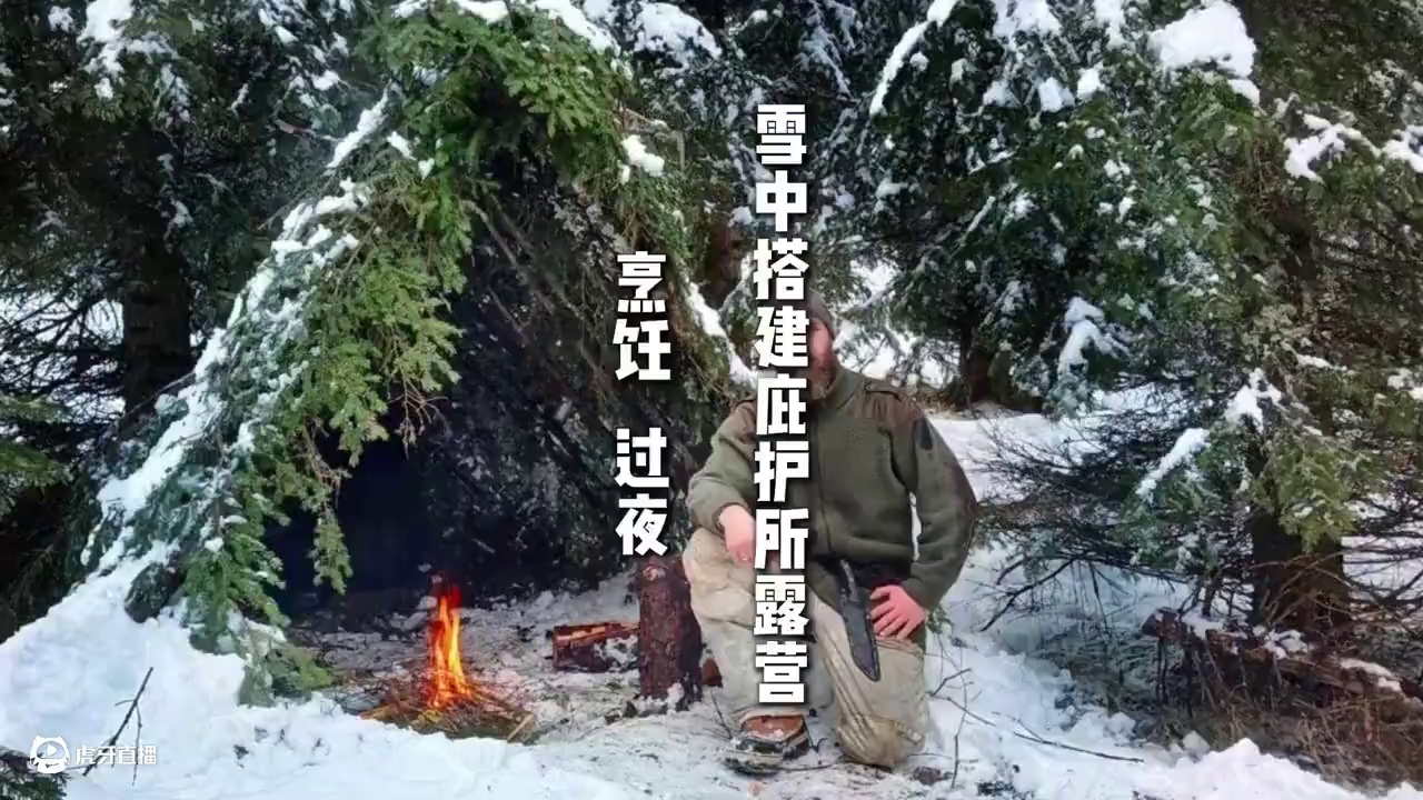 雪中搭建庇护所露营  烹饪   过夜 #野外建造 #荒野独居 #荒野生存