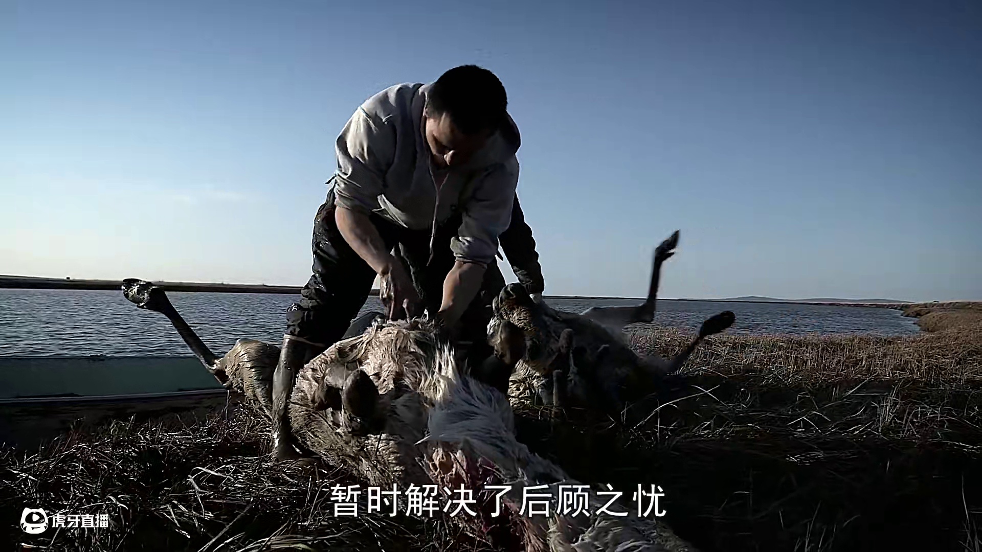 零度以下的生活89：处理海豹，脂肪炼制油