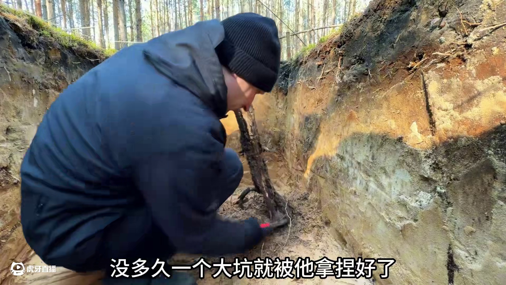 男人在森林里打造了一间隐蔽的地下小屋 #庇护所建造 #荒野建造 #户外