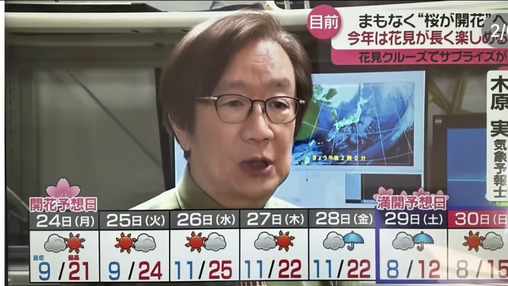 完了…我成樱花难民了…救救孩子… #日本 #日本旅行 #樱花 #vlog #吐槽