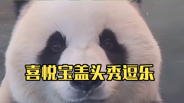 喜悦：我其实是宝盖头！