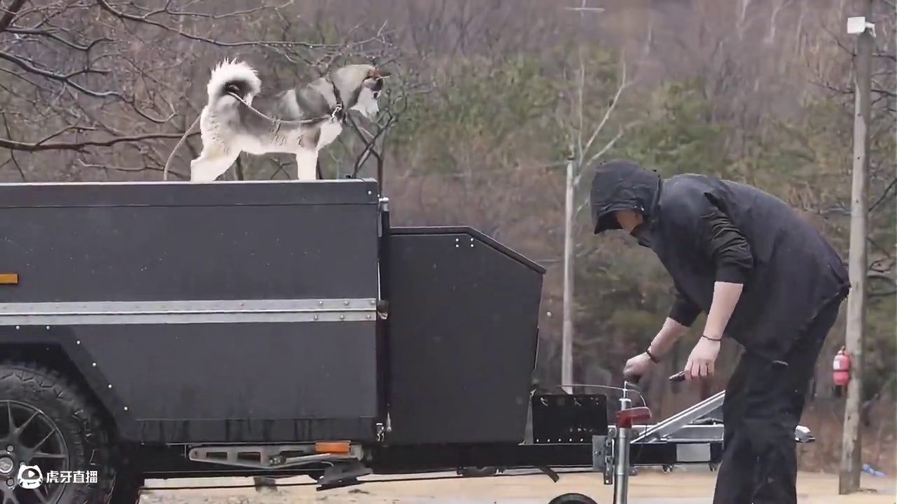 拖车露营（一）带着狗子去露营，想不到它四处乱窜搞出了露营博主见面会。。。#露营 #助眠 #解压 #哈