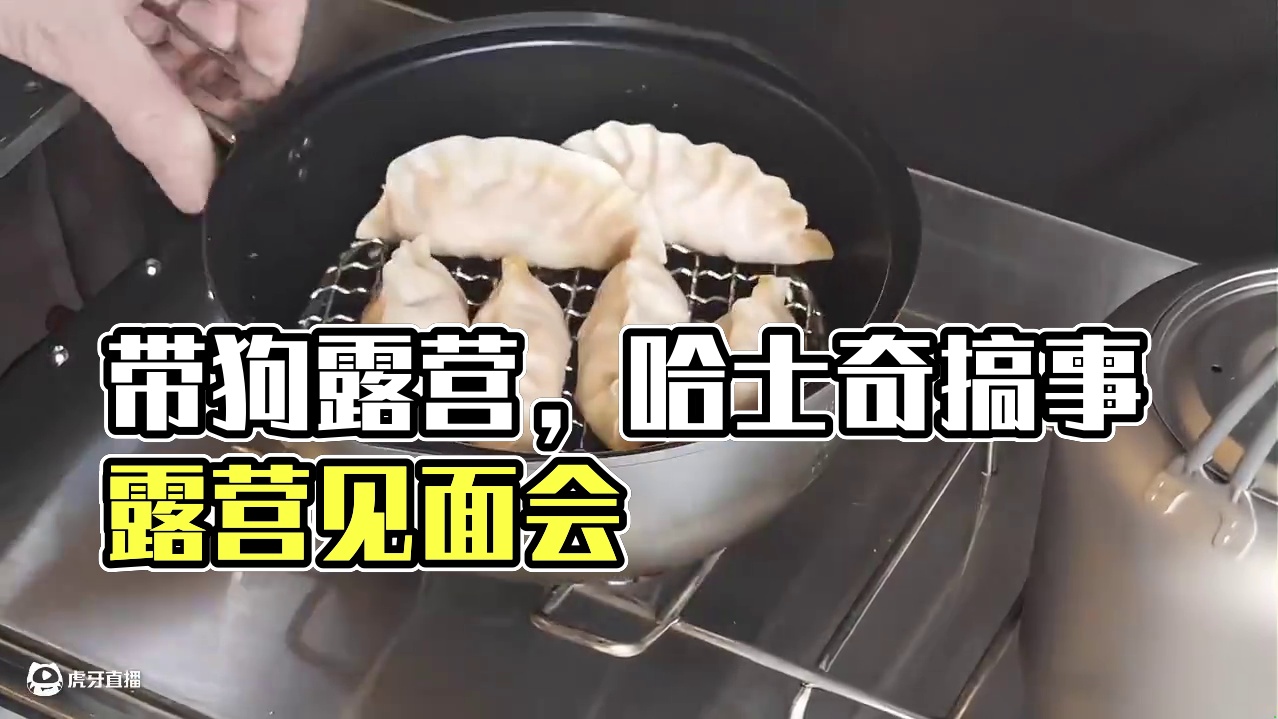 拖车露营（二）带着狗子去露营，想不到它四处乱窜搞出了露营博主见面会。。。#露营 #助眠 #解压 #哈