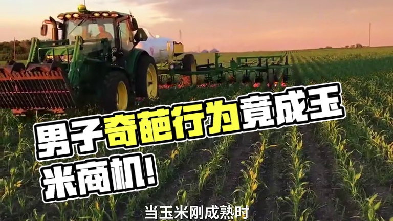 男子这样一个奇葩的行为，竟让他日后发现了这样的美食！ #水果玉米 #玉米 #管理期 #胖子