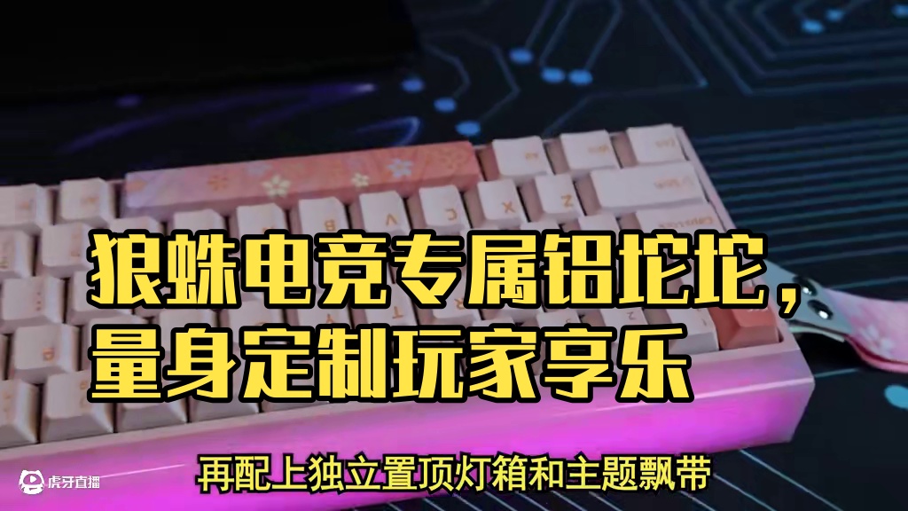 狼蛛竟然为玩家量身定制了一个电竞专属铝坨坨，纯绿玩家乐坏了#外设 #键盘 #狼蛛 #狼蛛磁轴 #游戏