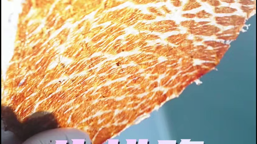 谁说牛肉只能用手切，这款切片机每分钟能切出1万片 #牛排脆 #牛肉