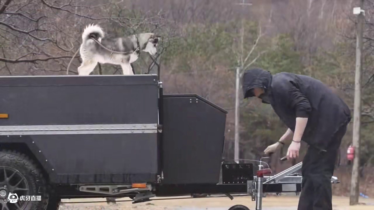 拖车露营（全集）带着狗子去露营，想不到它四处乱窜搞出了露营博主见面会。。。#露营 #助眠 #解压 #