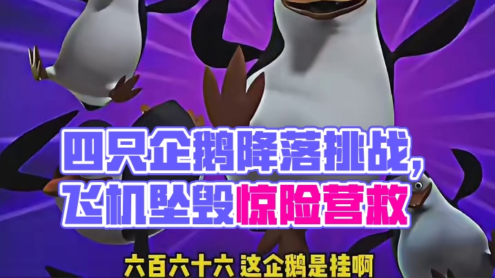 四只企鹅往那一站就是天选主角