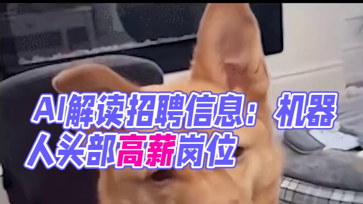 外边世界还带我玩吗实在是太精彩了！#科技   #招聘  #猎头透露机器人头部人才薪资可达千万  #机