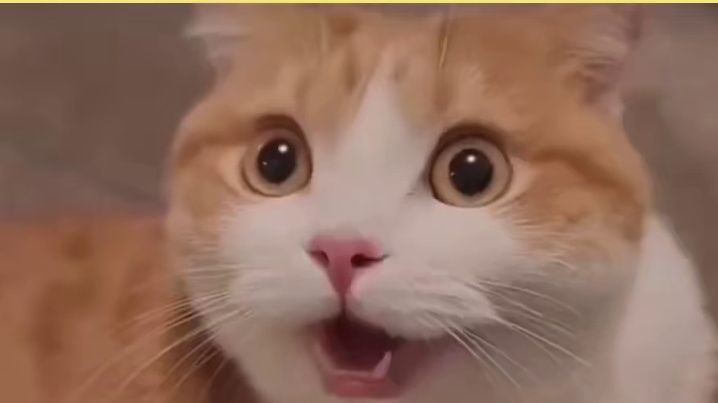 怎么稍微有点智商的动物都被人类收编了