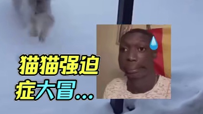 猫猫：我这强迫症犯了