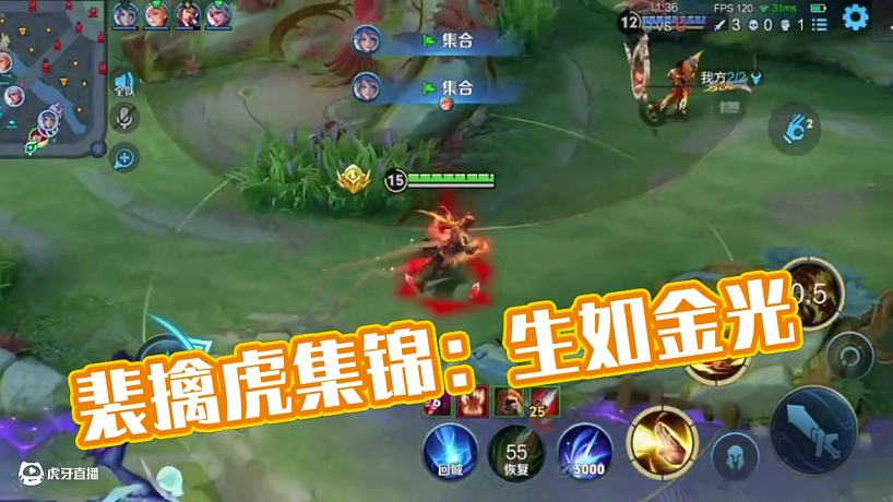 狼隊小胖的直播