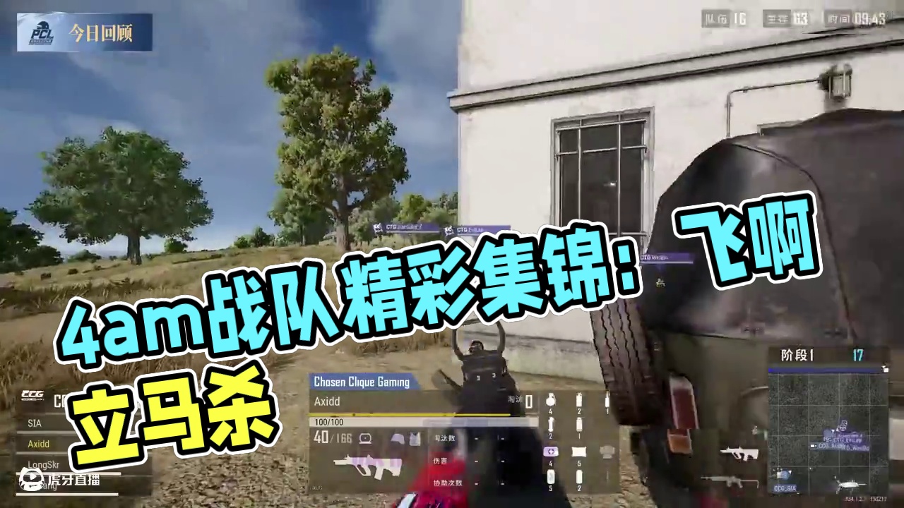 2025PCL春季-第1周周决赛_DAY2- 精彩集锦 #2025pcl春季赛 #4am战队 #Pe