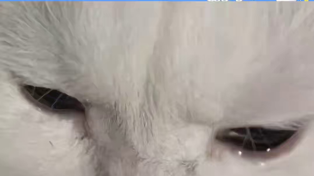 有想去的地方不算流浪