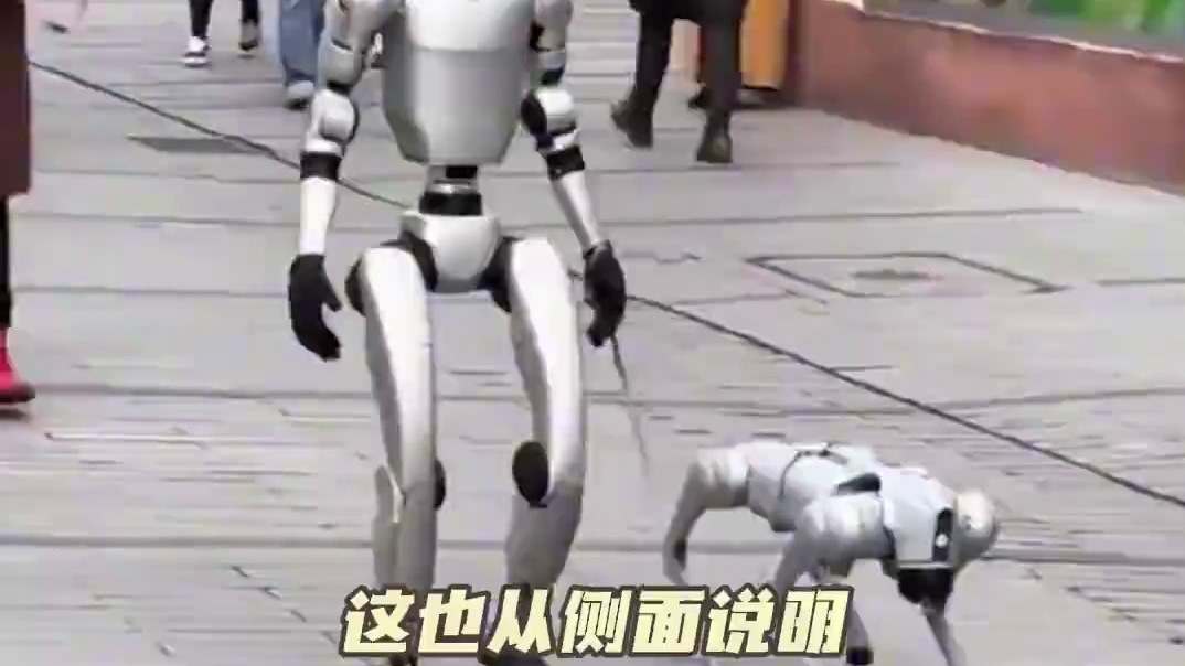 鲨疯了，各大公司为了抢人才也是蛮拼的#机器人 #科技 #打工人#猎头透露机器人头部人才薪资#机器人行