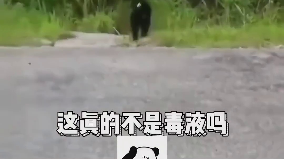 这猴子吃了多少毒液