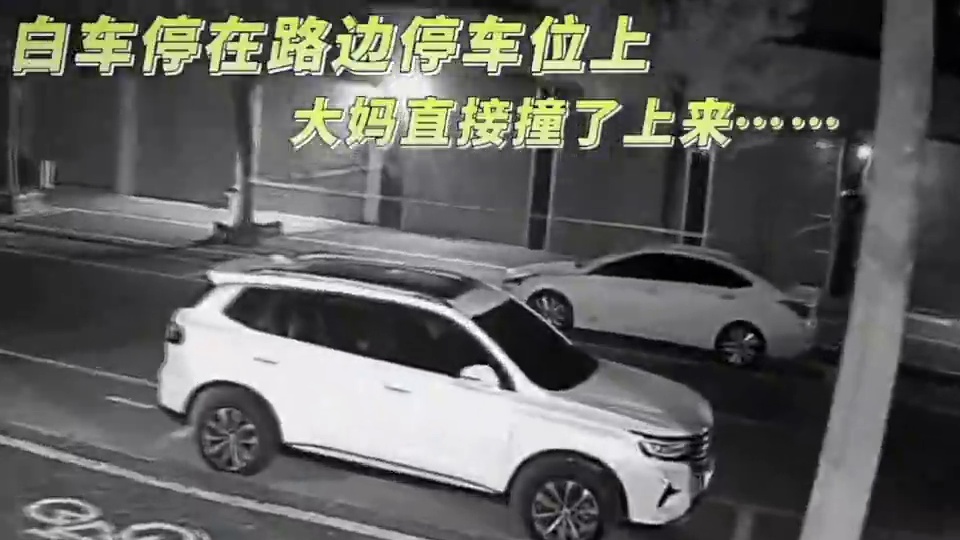 车主人：请苍天，辩忠奸#搞笑 #看一遍笑一遍 #万万想不到