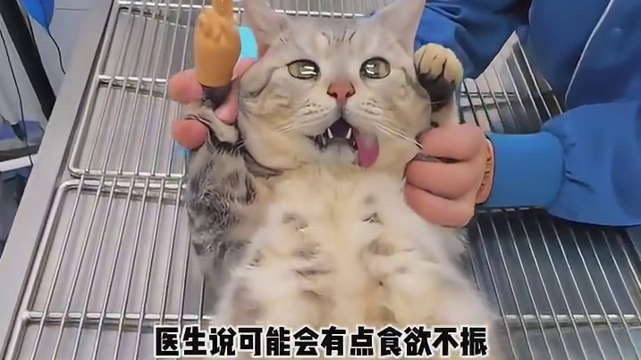 咪咪：事已至此那就先吃饭吧