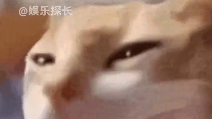 5月，打工人的梦中情月 #放假  #端午节  #放假通知  #精神状态