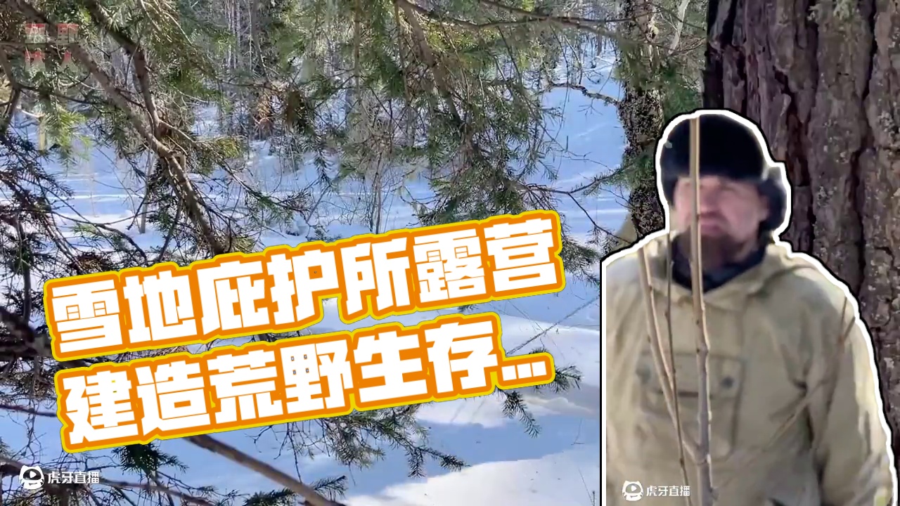 雪地搭建庇护所露营  烹饪   过夜 #野外建造 #荒野生存 #荒野建造