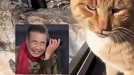 我是不会放弃去猫村的