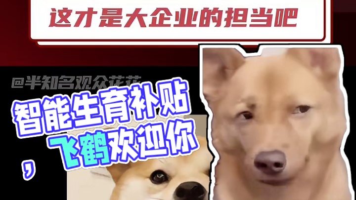 我宣布 这次飞鹤上大分！#飞鹤生育补贴 #聪明宝宝喝飞鹤