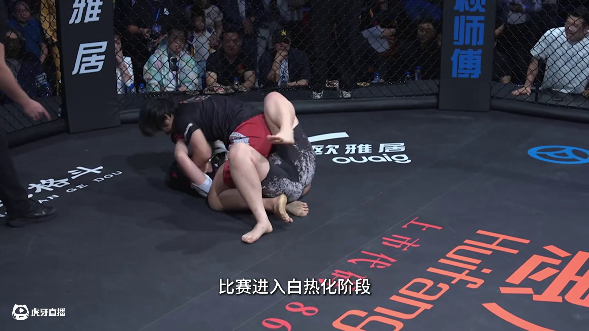 #龙三格斗 龙三格斗环球拳王巡回赛·花都站 李怡璇vs杜婷